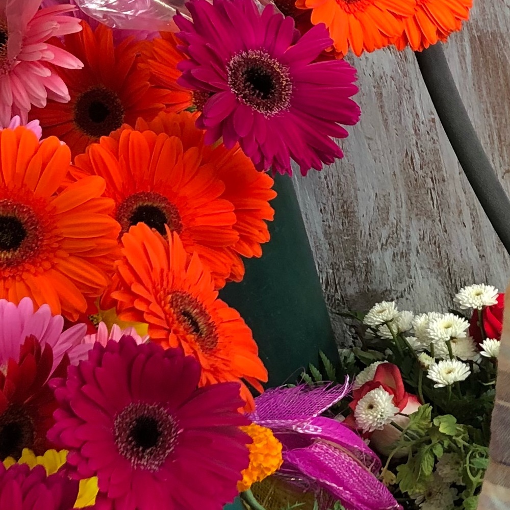 Meet your Posher, Esther